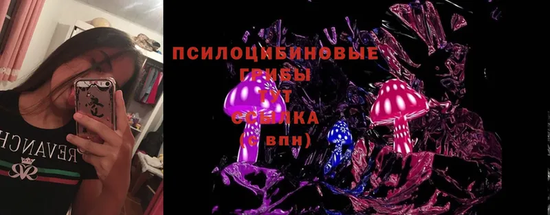 Галлюциногенные грибы Magic Shrooms  мега ССЫЛКА  Новочебоксарск 